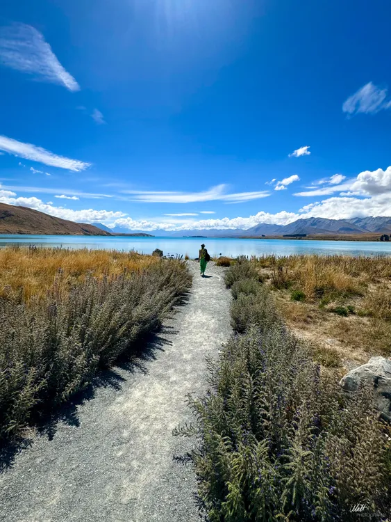 Lake Tekapo